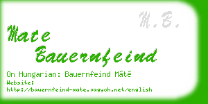 mate bauernfeind business card